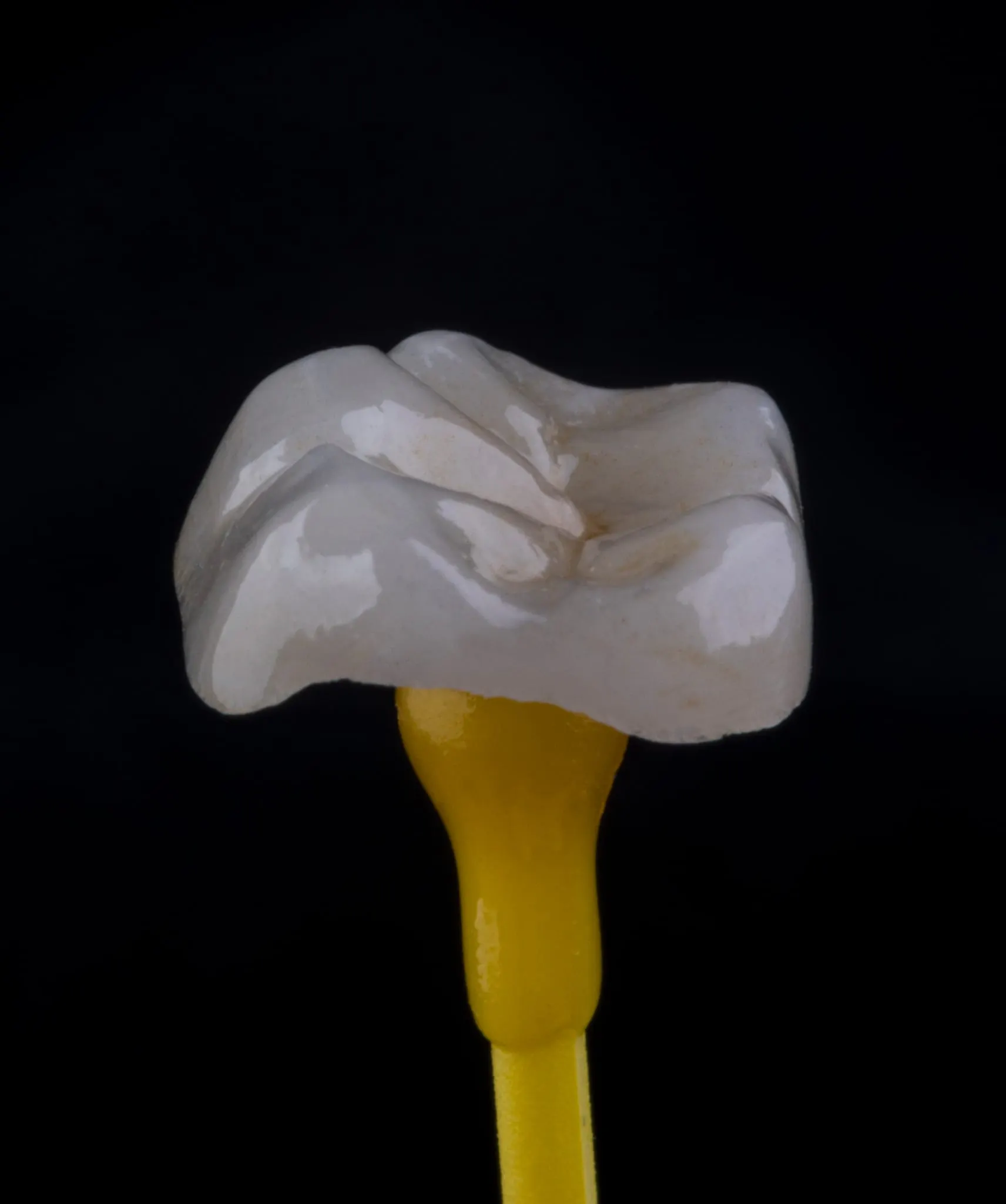 tooth
